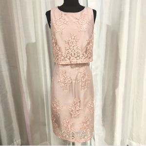 Lace Floral Pink Embroidered Dress